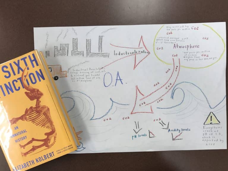 Post-Lesson Reflection: What Do Students Think They Learned? - Dr ...