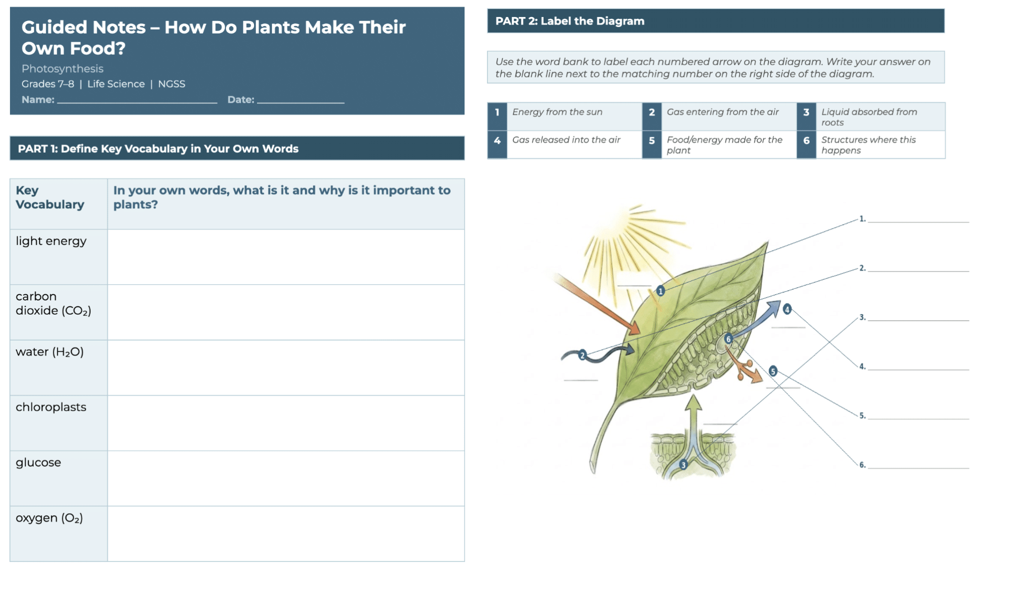 Are Your Guided Notes Supporting or Stifling Learning? Designing Notes ...